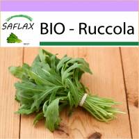 SAFLAX - BIO - Ruccola - 500 Samen - Eruca sativa Bild 1
