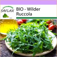 SAFLAX - BIO - Wilder Ruccola - 1500 Samen - Diplotaxis tenuifolia Bild 1