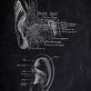 The Ear No. 2 - Patent-Style - Anatomie-Poster Bild 2