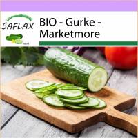 SAFLAX - BIO - Gurke - Marketmore - 20 Samen - Cucumis sativus Bild 1