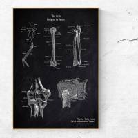The Arm - Patent-Style - Anatomie-Poster Bild 1