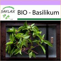 SAFLAX - BIO - Basilikum Thai - 250 Samen - Ocimum basilicum Bild 1