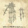 The Hand No. 3 - Patent-Style - Anatomie-Poster Bild 4