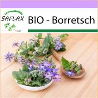 SAFLAX - BIO - Borretsch - 40 Samen - Borago officinalis Bild 1