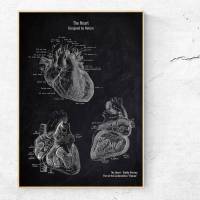 The Heart No. 2 - Patent-Style - Anatomie-Poster Bild 1