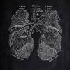 The Lung No. 3 - Patent-Style - Anatomie-Poster Bild 2