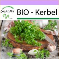 SAFLAX - BIO - Kerbel - 800 Samen - Anthriscus cerefolium Bild 1