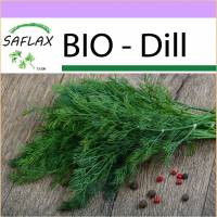 SAFLAX - BIO - Dill - 700 Samen - Anethum graveolens Bild 1