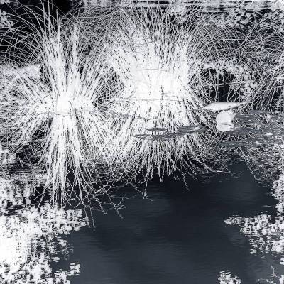 Uferzone Fotografie Kunstdruck Aluminiumdibond Butlerfinish