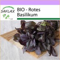 SAFLAX - BIO - Rotes Basilikum - 400 Samen - Ocimum basilicum Bild 1