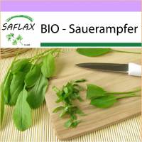 SAFLAX - BIO - Sauerampfer - 400 Samen - Rumex acetosa Bild 1