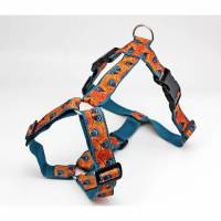 Hundegeschirr mit Muster in orange und türkis, modern und abstrakt,  Gurtband in türkis, Brustgeschirr für Hunde Bild 1