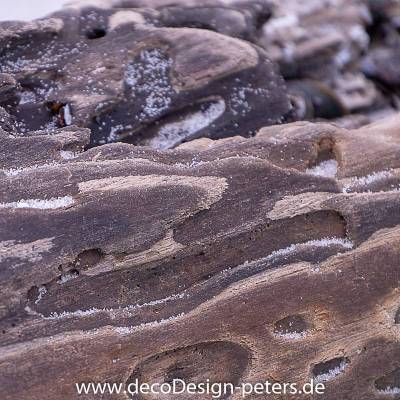 Treibholz Fotografie Kunstdruck Aluminiumdibond