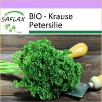 SAFLAX - BIO - Krause Petersilie - 800 Samen - Petroselinum crispum Bild 1
