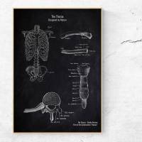 The Thorax No. 3 - Patent-Style - Anatomie-Poster Bild 1