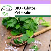 SAFLAX - BIO - Glatte Petersilie - 600 Samen - Petroselinum crispum Bild 1