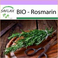 SAFLAX - BIO - Rosmarin - 40 Samen - Rosmarinus officinalis Bild 1