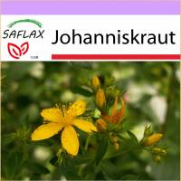 SAFLAX - Heilpflanzen - Johanniskraut - 300 Samen - Hypericum perforatum Bild 1