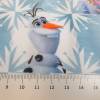 Jersey  Baumwoll Jersey  Die Eiskönigin Frozen 2 hellblau Digitaldruck Oeko-Tex Standard 100 (1m/17,-€) Bild 5
