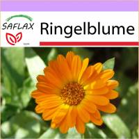 SAFLAX - Heilpflanzen - Ringelblume - 50 Samen - Calendula officinalis Bild 1