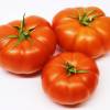 SAFLAX - BIO - Tomate - Berner Rose - 10 Samen - Solanum lycopersicum Bild 9