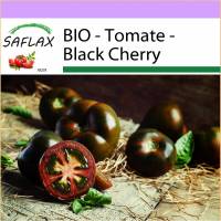 SAFLAX - BIO - Tomate - Black Cherry - 10 Samen - Solanum lycopersicum Bild 1