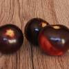 SAFLAX - BIO - Tomate - Black Cherry - 10 Samen - Solanum lycopersicum Bild 9