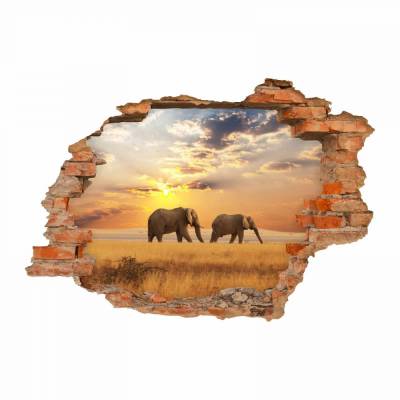 091 Wandtattoo Elefant Sonnenuntergang Savanne - Loch in der Wand - in 6 Größen - wunderschöne Kinderzimmer Sticker und Aufkleber