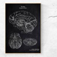 The Brain - Patent-Style - Anatomie-Poster Bild 1