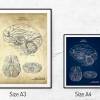 The Brain - Patent-Style - Anatomie-Poster Bild 5