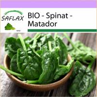 SAFLAX - BIO - Spinat - Matador - 300 Samen - Spinacia oleracea Bild 1