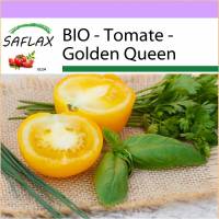 SAFLAX - BIO - Tomate - Golden Queen - 15 Samen - Solanum lycopersicum Bild 1