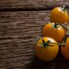 SAFLAX - BIO - Tomate - Golden Queen - 15 Samen - Solanum lycopersicum Bild 7
