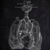 The Lung - Patent-Style - Anatomie-Poster Bild 2