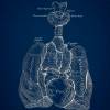 The Lung - Patent-Style - Anatomie-Poster Bild 3
