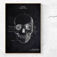 The Scull No. 4 - Patent-Style - Anatomie-Poster Bild 1