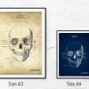 The Scull No. 4 - Patent-Style - Anatomie-Poster Bild 5