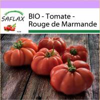 SAFLAX - BIO - Tomate - Rouge de Marmande - 10 Samen - Solanum lycopersicum Bild 1
