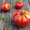 SAFLAX - BIO - Tomate - Rouge de Marmande - 10 Samen - Solanum lycopersicum Bild 3