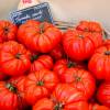 SAFLAX - BIO - Tomate - Rouge de Marmande - 10 Samen - Solanum lycopersicum Bild 5