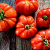 SAFLAX - BIO - Tomate - Rouge de Marmande - 10 Samen - Solanum lycopersicum Bild 9