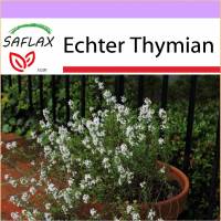SAFLAX - Heilpflanzen - Echter Thymian - 200 Samen - Thymus vulgaris Bild 1