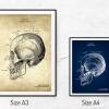 The Scull No. 5 - Patent-Style - Anatomie-Poster Bild 5