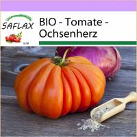 SAFLAX - BIO - Tomate - Ochsenherz - 10 Samen - Solanum lycopersicum Bild 1