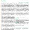 SAFLAX - Heilpflanzen - Sanddorn - 40 Samen - Hippophae rhamnoides Bild 2