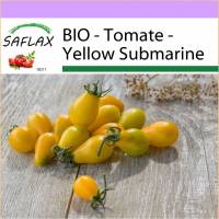 SAFLAX - BIO - Tomate - Yellow Submarine - 10 Samen - Solanum lycopersicum Bild 1