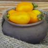 SAFLAX - BIO - Tomate - Yellow Submarine - 10 Samen - Solanum lycopersicum Bild 5