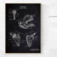 The Shoulder - Patent-Style - Anatomie-Poster Bild 1
