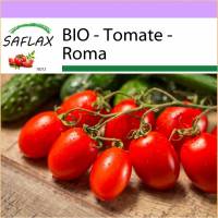 SAFLAX - BIO - Tomate - Roma - 15 Samen - Solanum lycopersicum Bild 1