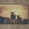Hochlandrind Schottland Leinwand Druck Fotografie 40x30cm Wanddeko Wandbild Bild 5